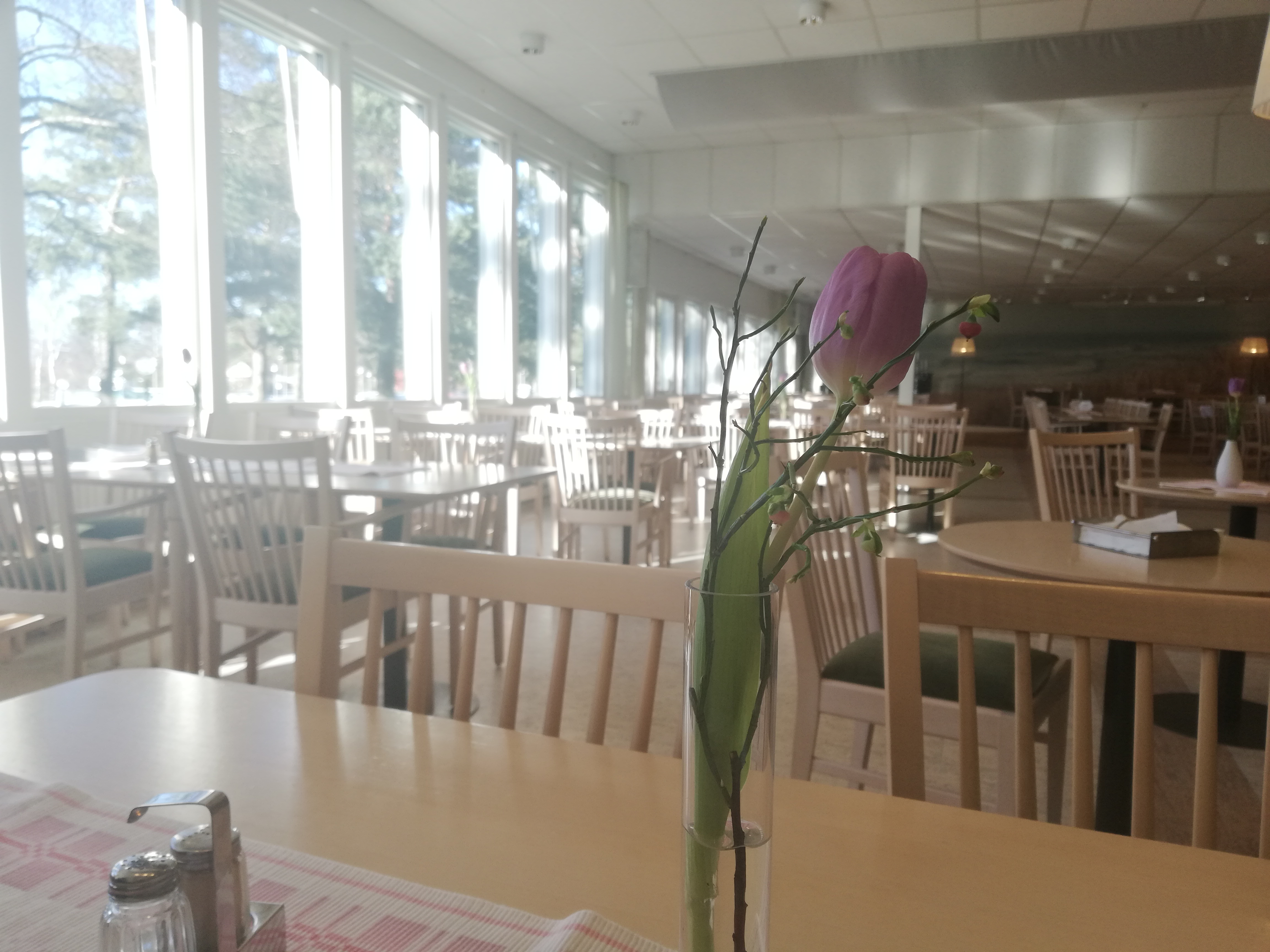 En rosalila tulpan i en vas på ett bord i Furubodas restaurang 