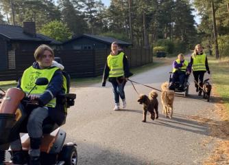 Människor ute på hundpromenad