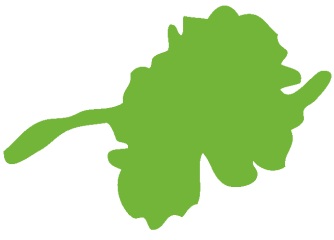 Furuboda grön maskros logotyp.